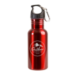 17oz Stainless Steel Adventure Water Bottle With Carabiner